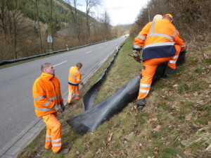 Krötenschutzzaun_B45_Eberbach_Gammelsbach
