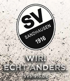 SV Sandhausen Ticker: Denis Linsmayer verlässt den SVS …