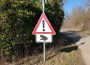 Mitteilung des Landratsamt Rhein-Neckar-Kreis – Vorsicht Krötenwanderung