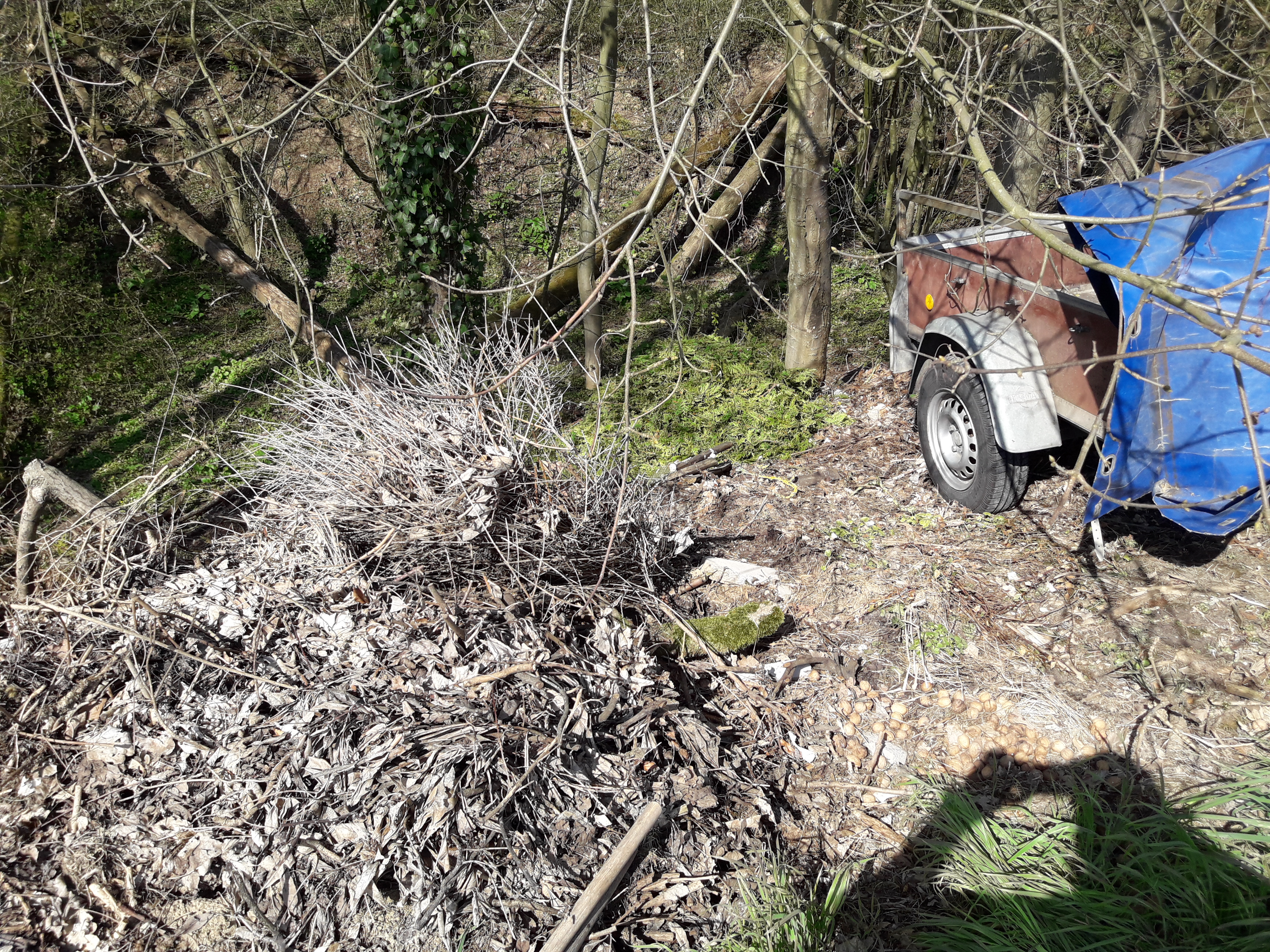Müllsünder in Sinsheim überführt – Konsequentes Vorgehen der Ordnungsbehörden