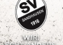 Überzeugender Heimsieg des SV Sandhausen gegen Hannover 96