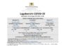 COVID-19 Tagesbericht (21.01.2021) des Landesgesundheitsamts Baden-Württemberg – (ganz ausführlich)