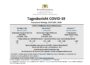 COVID-19 Tagesbericht (15.02.2021) des Landesgesundheitsamts Baden-Württemberg – (ausführlich)