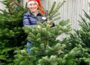 Aktuell für Alle, die noch keinen Weihnachtsbaum haben – Freudensprung – Aktion …