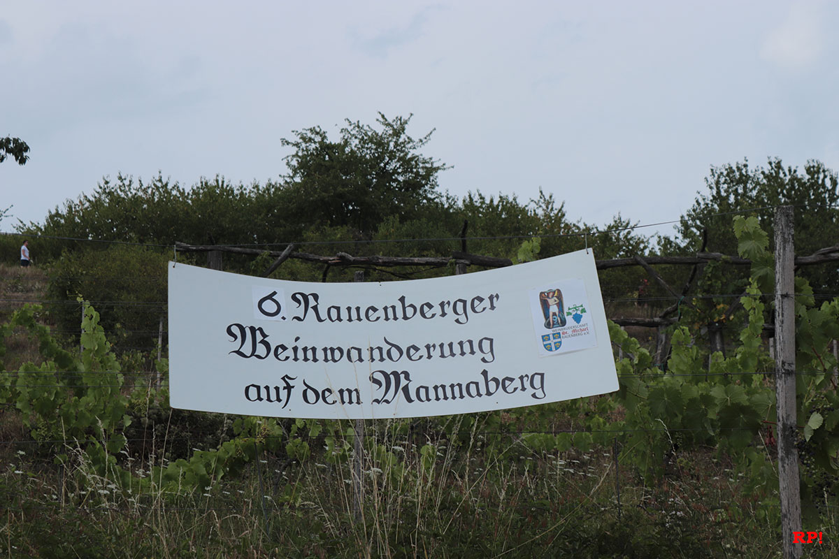 6. Rauenberger Weinwanderung 2022 – Wieder ein Highlight im Kraichgau
