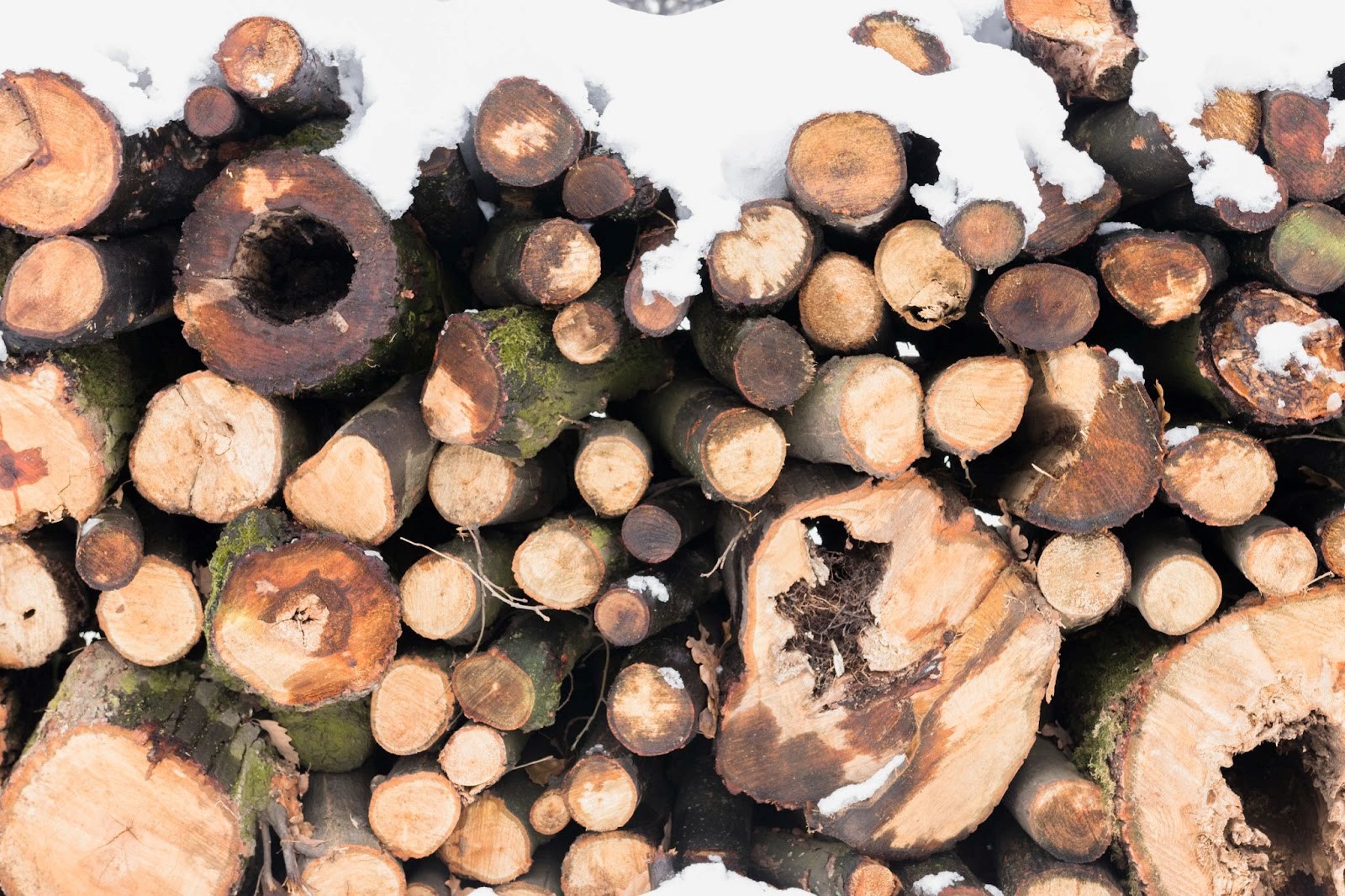 Der Nutzen von kammergetrocknetem Brennholz