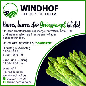 Windhof Beifuss - Grüner Spargel