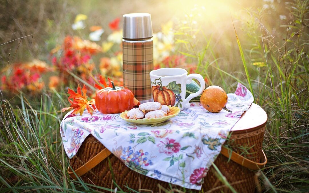 Ratschläge für ein perfektes Sommerpicknick