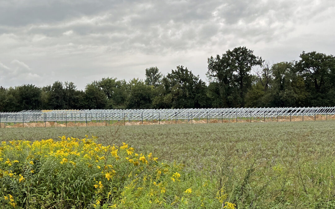 Strom für über 1.500 Bruchsaler Haushalte
