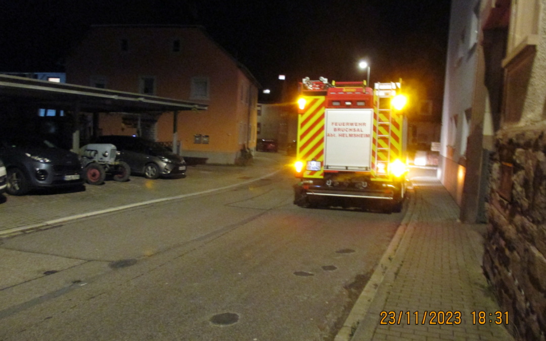 Feuerwehr und Ordnungsamt in Helmsheim unterwegs