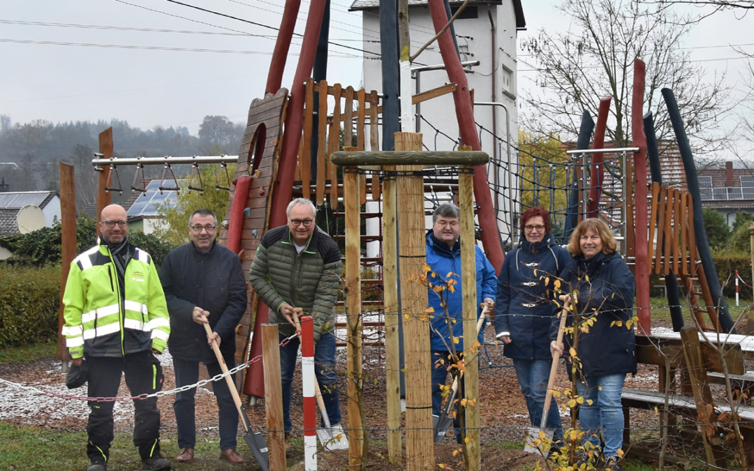 Bäume für den Spielplatz in Waldangelloch