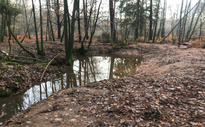 Kreisforstamt: Jäger und Förster arbeiten Hand in Hand für den Naturschutz und legen im Stadtwald Neckargemünd ein Biotop für Amphibien an