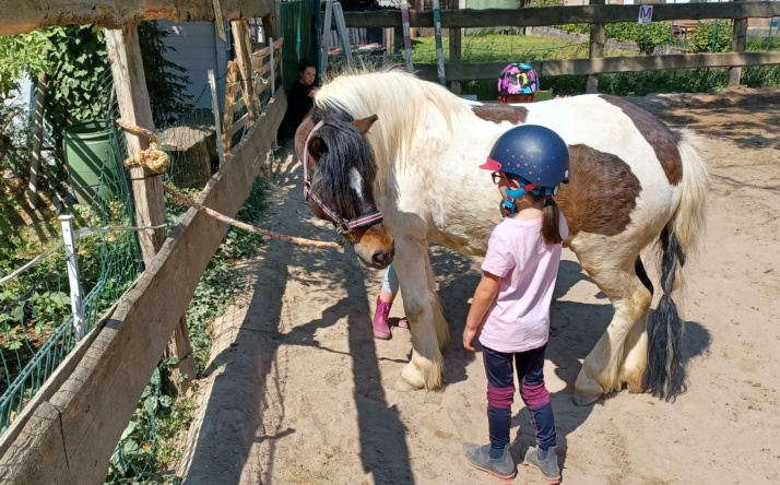 Pferde fördern Kinder: Ein erlebnisreicher Tag auf Epp’s Ponyfarm in Dielheim