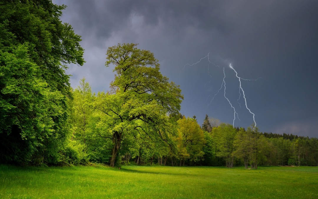 Sinsheim: Schweres Unwetter sorgt für überschwemmte Straßen und umgestürzte Bäume