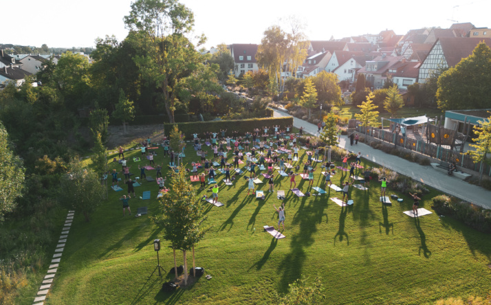 Eppinger Festivalsommer 2024 – Reihen starten in die Open-Air Saison