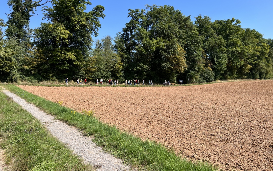 Der Kraichtal wandert