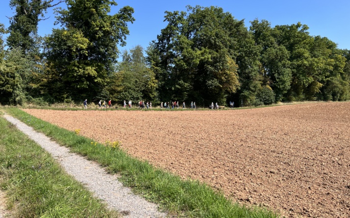 Der Kraichtal wandert