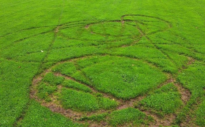 Vandalismus in Reihen: Sportplatzrasen total beschädigt – Belohnung ausgesetzt