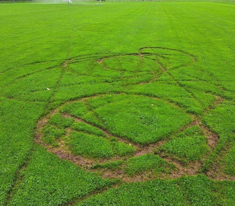 Vandalismus in Reihen: Sportplatzrasen total beschädigt – Belohnung ausgesetzt