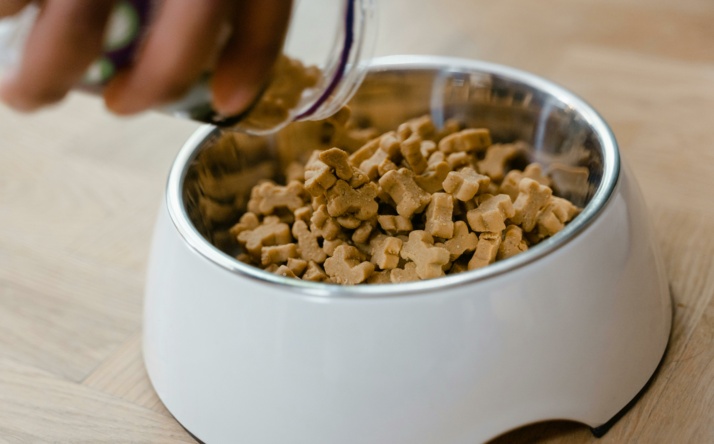 Nützliche Hunde Leckerlies vom zuverlässigen Hersteller