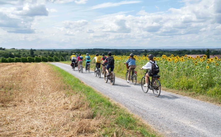 Radtouren zum Ferienende mit den RadGuides