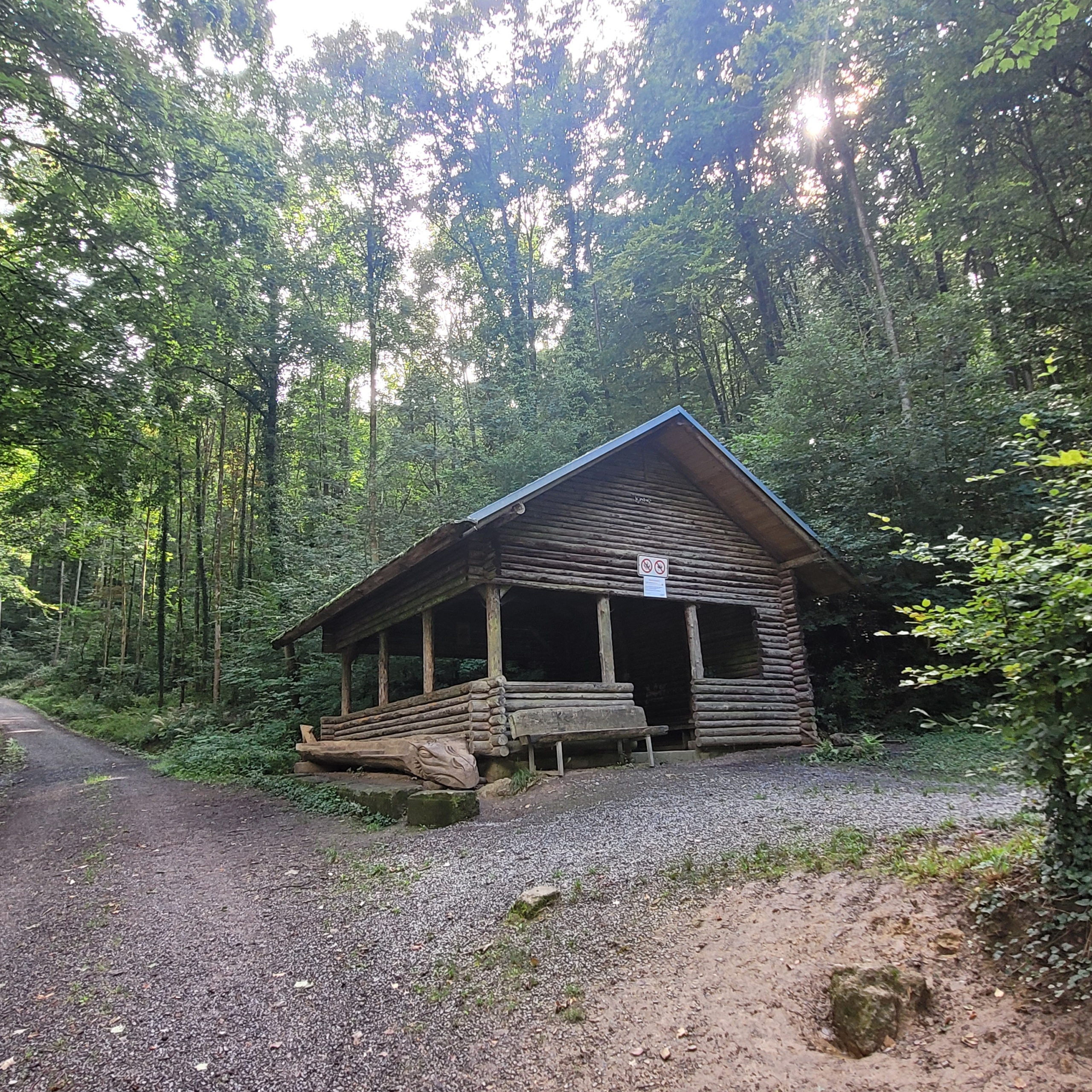 54_Erholungsorte_Wald_Teil4 (2)