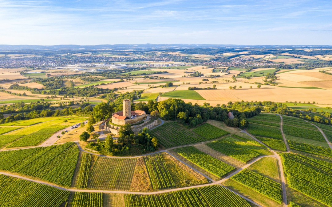 Burg Steinsberg lockt mit Geschichte und Ausblick
