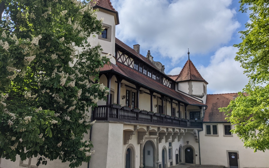 Kraichtal hat entschieden: „Wo die Lüge hinfällt“ wird beim Open Air Kino in Gochsheim gezeigt