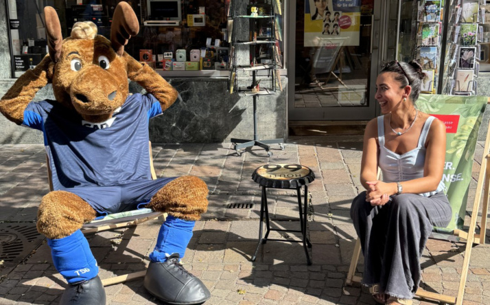 SOMMER. SONNE. SINSE.