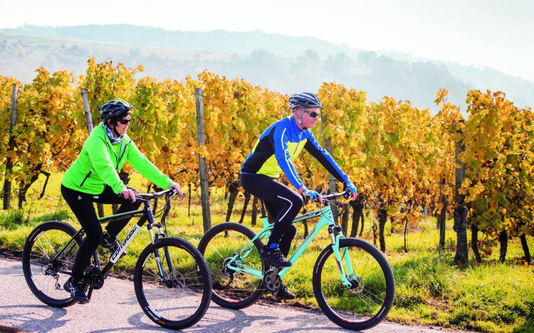 Letzte Tour der Saison rund um die Burg Steinsberg