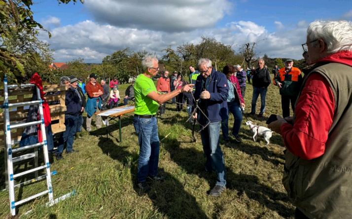 Sommerschnittkurs auf der Streuobstwiese
