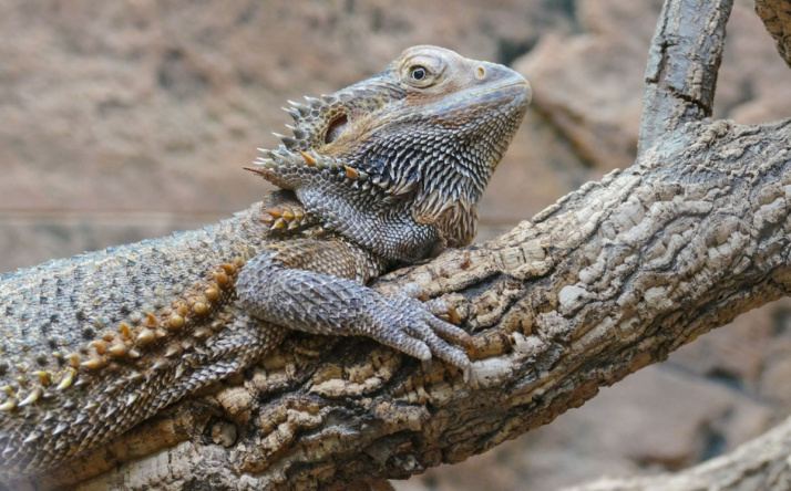 Wissen erleben zwischen Vivarium und Labor