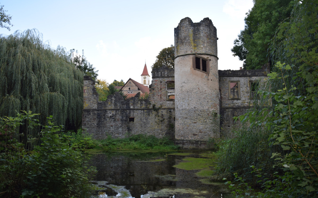 Die Sinsheimer Erlebnisregion stellt sich vor: Schlossruine in Daisbach