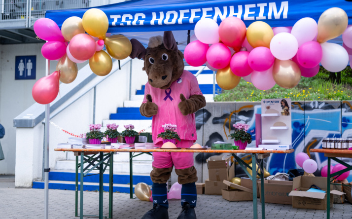 Pinke Oktober-Aktion: TSG Hoffenheim setzt Zeichen gegen Brustkrebs