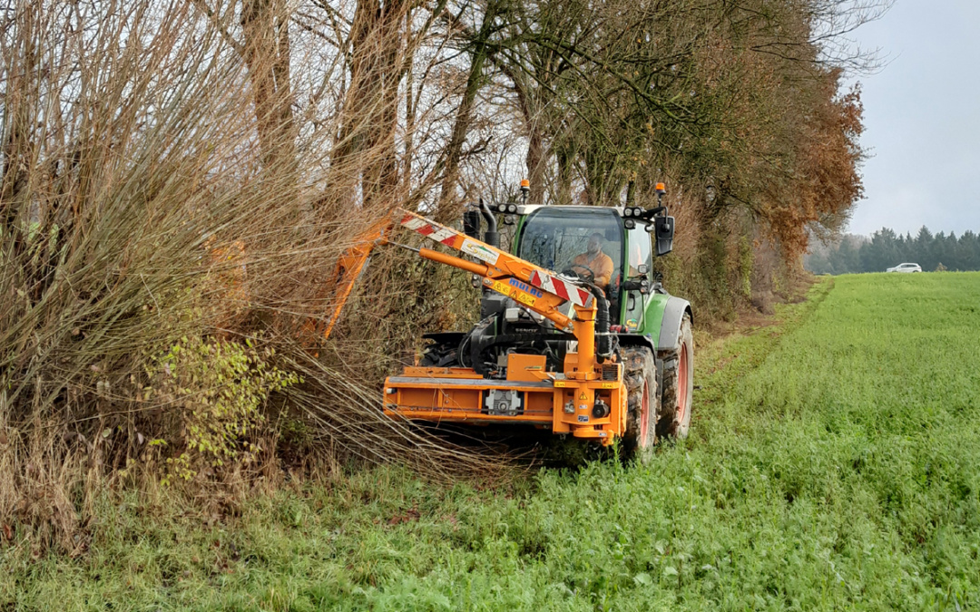 Gemeinsame Wege für die Landschaftspflege: Fachtag in Sinsheim