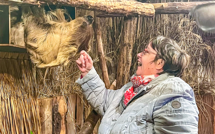 Tierpatenschaft verschenken: Ein besonderes Weihnachtsgeschenk mit Sinn im Zoo Heidelberg