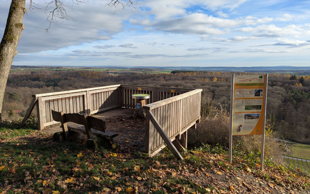 „Wow-Moment“ am Hilsbacher Eichelberg