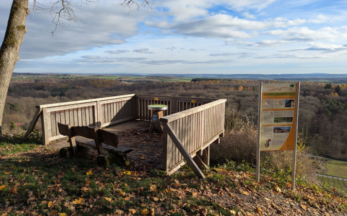 „Wow-Moment“ am Hilsbacher Eichelberg
