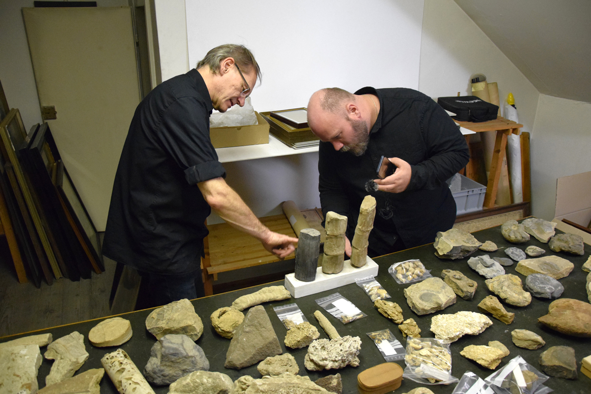 PM Artikel Fossilienbestimmung Mammut