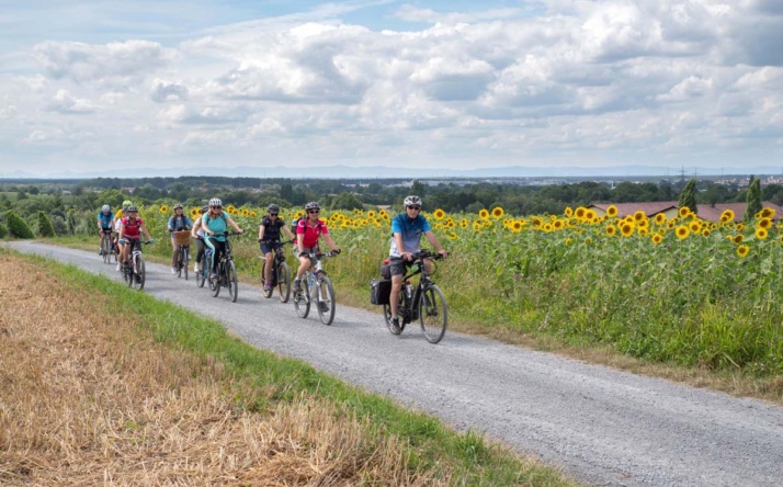RadGuides Rhein-Neckar suchen Verstärkung