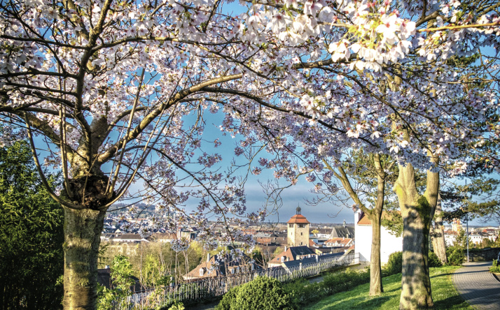 Bruchsal wird 1050 Jahre alt