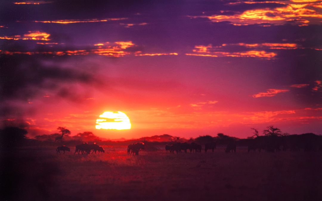 Multivisionsvortrag Südafrika