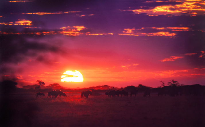 Multivisionsvortrag Südafrika