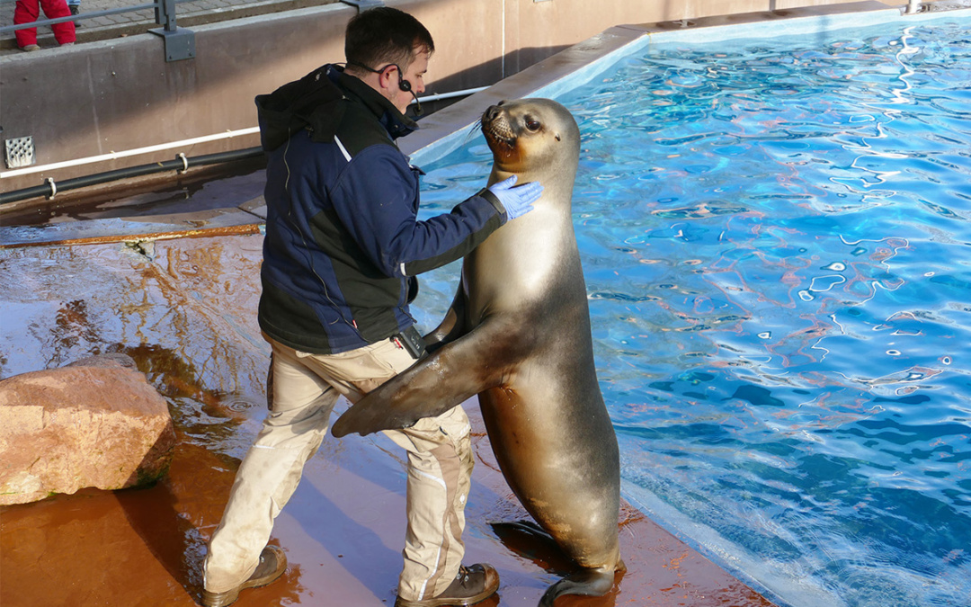 Zootierpfleger ein Traumberuf