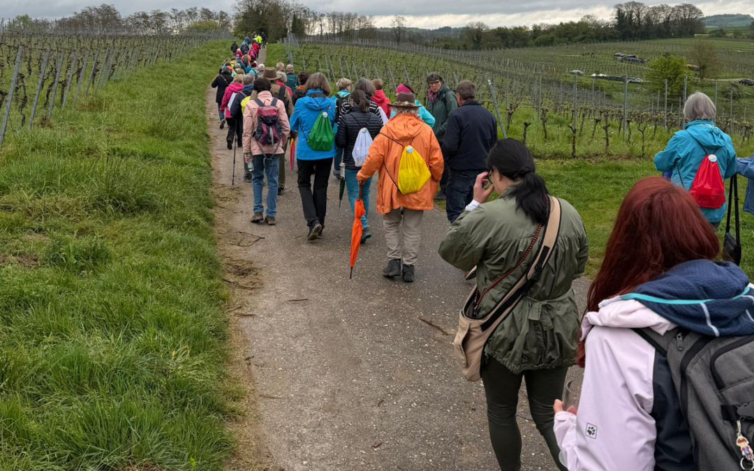 LEADER-geförderte Wanderwegebeschilderung eingeweiht