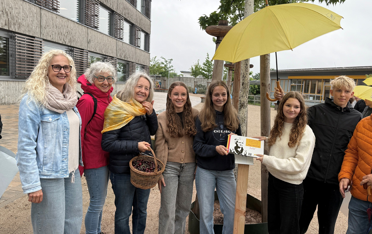 Kleine Frauenallee Frauenallee