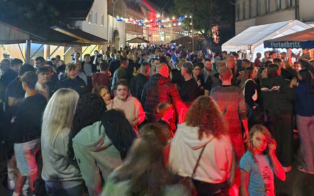 41. Straßenfest der Meckesheimer Vereine