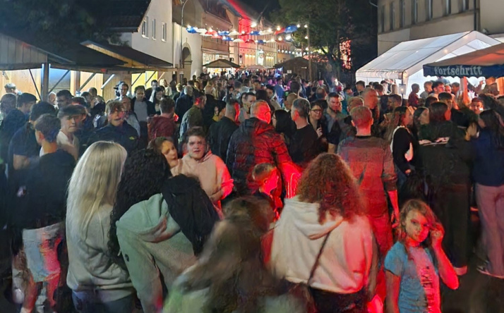 41. Straßenfest der Meckesheimer Vereine